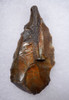 RARE PETRIFIED WOOD AFRICAN STONE AGE ATERIAN BORER AWL FLAKE TOOL  *AT119