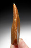OUR LARGEST AND FINEST NEANDERTHAL SPEARHEAD MOUSTERIAN POINT FROM FRANCE  *M447