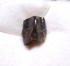 EDMONTOSAURUS HADROSAUR "DUCK-BILLED" FOSSIL DINOSAUR TOOTH  *DT8-107