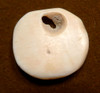 ANCIENT SPONDYLUS SHELL DISK BEAD APPLIQUE FROM THE GREATER NICOYA PRE-COLUMBIAN CULTURE  *PC393