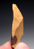 MIDDLE STONE AGE RED AND GOLD QUARTZITE POINT FLAKE TOOL FROM LIBYA  *M3590