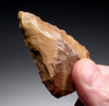 RARE EXQUISITE MIDDLE STONE AGE RED AND GOLD QUARTZITE POINT CONVERGENT SCRAPER FROM LIBYA  *M3600