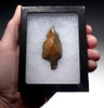 BEST OF THE COLLECTION ATERIAN TANGED POINT OF RARE PETRIFIED WOOD - OLDEST KNOWN ARROWHEAD  *AT134