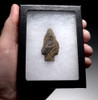 UNIQUE EXCELLENT MIDDLE STONE AGE ATERIAN TANGED POINT - OLDEST KNOWN ARROWHEAD  *AT137
