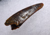 DINOSAUR FOSSIL RAPTOR DROMAEOSAUR TOOTH  *DT6-177