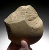 SUPERB HOMO HEIDELBERGENSIS OLDOWAN PEBBLE CHOPPER PROTO-HAND AXE FROM PORTUGAL *PB172