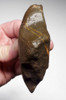 AFRICAN OLDOWAN PEBBLE PROTO AXE WITH POINTED TIP SHOWING EVOLVING TOOL DESIGN  *PB179