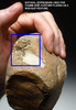 MUSEUM CLASS LOWER PALEOLITHIC OLDOWAN PEBBLE AXE FROM FAMOUS FRENCH SITE  *PB095