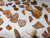 LARGE COLLECTION OF 68 FOSSIL BONES AND TEETH FROM DINOSAURS REPTILES AND SHARKS  *BONELOT57