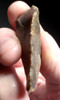 NEANDERTHAL FLINT SIDE SCRAPER MOUSTERIAN FLAKE TOOL FROM DORDOGNE FRANCE  *M460