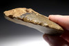 MASSIVE NEANDERTHAL MOUSTERIAN STEEP BACK SIDE SCRAPER FLAKE TOOL FROM CAEN FRANCE  *M469