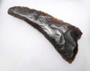 FINEST CORDED WARE NEOLITHIC FLINT BIFACIAL FLAKED SICKLE WITH USE POLISH  *N241