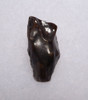 TRICERATOPS FOSSIL DINOSAUR TOOTH  *DTX26