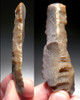 THREE DIFFERENT FINEST QUALITY CAPSIAN NEOLITHIC FLINT TOOLS FROM THE AFRICAN NEOLITHIC  *CAP380