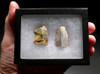 UPPER PALEOLITHIC MAGDALENIAN FLAKE TOOLS FROM FAMOUS PLACARD ART CAVE SITE IN FRANCE *UP022