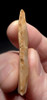 TWO UPPER PALEOLITHIC MAGDALENIAN BLADE TOOLS FROM FAMOUS FRENCH CAVE ART SITE  *UP028