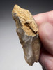 EXCEPTIONAL NEANDERTHAL MOUSTERIAN SAW DENITICULATE FLINT MULTI-TOOL FROM DORDOGNE FRANCE  *M474