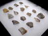 16 PIECE EUROPEAN MESOLITHIC FLAKE AND BLADE TOOLS FROM HUNTER-GATHERERS IN BELGIUM  *N263