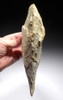 EXQUISITE EAST AFRICA ACHEULEAN RHYOLITE HANDAXE WITH SHARP UNBROKEN TIP  *ACH440