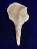 FINEST DELICATE CAPSIAN AFRICAN NEOLITHIC BORER AWL FLAKE TOOL  *CAP393