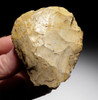 EXQUISITE NEANDERTHAL MOUSTERIAN FLINT BIFACE HAND AXE FROM NORMANDY FRANCE *M501