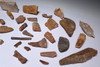 30 PIECE FOSSIL DINOSAUR AND REPTILE TEETH AND BONES  *BONELOT11