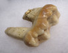 LARGE ARDENNES FOREST BELGIUM CAVE BEAR FOSSIL MOLAR TOOTH RARE LOCATION  *LMX327