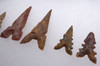 SIX PREMIUM COLLECTOR GRADE AFRICAN CAPSIAN NEOLITHIC PROJECTILE POINT ARROWHEADS  *CAP412