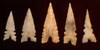 FIVE FINEST COLLECTOR GRADE AFRICAN CAPSIAN NEOLITHIC PROJECTILE POINT ARROWHEADS  *CAP411