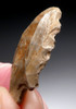 SMALL SUPREME FLINT ATERIAN TANGED POINT - OLDEST KNOWN ARROWHEAD  *AT152