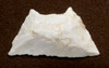 ULTRA RARE BARBED TRAPEZIUM CAPSIAN AFRICAN NEOLITHIC ARROWHEAD - ONLY ONE IN 23 YEARS  *CAP410