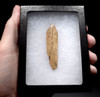 RARE RUSSIAN NEOLITHIC VOLOSOVO CULTURE BONE BURNISHER TOOL FROM VOLGA REGION OF RUSSIA    *N274