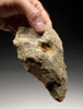 RARE EAST AFRICAN ACHEULEAN HANDAXE WITH FINGER GRIP IN RHYOLITE FROM FAMOUS SITE  *ACH200