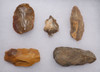 FIVE EARLY MAN MIDDLE STONE AGE AFRICA ATERIAN FLAKE  TOOLS  *AT107