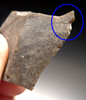 MOUSTERIAN NEANDERTHAL ENGRAVER FLAKE TOOL FROM DORDOGNE FRANCE  *M366