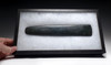 MASSIVE INVESTMENT-CLASS OLMEC JADE PRESTIGE PRE-COLUMBIAN RITUAL CELT AXE  *PC497