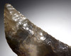 EXCEPTIONAL DANISH LATE NEOLITHIC FLINT LUNATE SICKLE BLADE KNIFE OF THE EUROPEAN CORDED WARE CULTURE  *N279