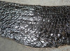 GYROPTYCHIUS FISH FOSSIL 