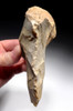 UNUSUAL HOMO ERECTUS ACHEULEAN HAND AXE FROM FRANCE WITH INTELLIGENT ERGONOMIC GRIP  *M421