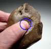 SUPERB HOMO ERECTUS MODE 1 OLDOWAN PEBBLE CHOPPER AXE FROM AFRICA WITH INTELLIGENT THUMB GRIP  *PB207
