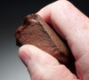 RARE AFRICAN MODE 1 OLDOWAN PEBBLE FLAKE SCRAPER TOOL OF RED BASALT WITH STUNNING WIND POLISHING  *PB193