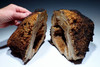 EXCEPTIONAL LARGE COMPLETE AGATIZED CORAL COLONY GEODE SLICED TO REVEAL INTERNAL STRUCTURES  *COR-043