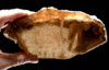 RARE WHITE FOSSIL AGATIZED CORAL GEODE "CAVE" WITH RARE CRYSTAL STRUCTURES  *COR102