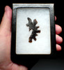 INTRICATE MAYAN OBSIDIAN FLAKED ABSTRACT ECCENTRIC EFFIGY  *PC602