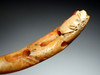 FIRST PET DOG OF THE AMERICAS PRE-COLUMBIAN CARVED DOG PENDANT OF SPONDYLUS SHELL  *PC6033