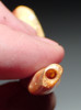 FIRST PET DOG OF THE AMERICAS PRE-COLUMBIAN CARVED DOG PENDANT OF SPONDYLUS SHELL  *PC6033