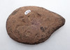 OUR FIRST TIME OFFERED - EXTREMELY RARE CAPSIAN AFRICAN NEOLITHIC PECKED STONE OIL FAT LAMP  *CAP446
