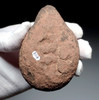 OUR FIRST TIME OFFERED - EXTREMELY RARE CAPSIAN AFRICAN NEOLITHIC PECKED STONE OIL FAT LAMP  *CAP446