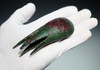ANCIENT NEAR EASTERN LURISTAN BRONZE SCEPTER CLAW MACE  *LUR434