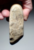 EXCEPTIONAL TRANSITIONAL PROTO-HAND AXE EUROPEAN MODE 1 OLDOWAN PEBBLE AXE CHOPPER FROM PALEOLITHIC IBERIA - FIRST HUMANS IN EUROPE  *PB219